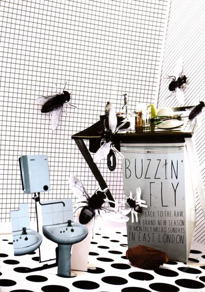 File:Buzzinfly-2005-flyer-front.jpg