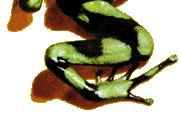 krass logo part 3